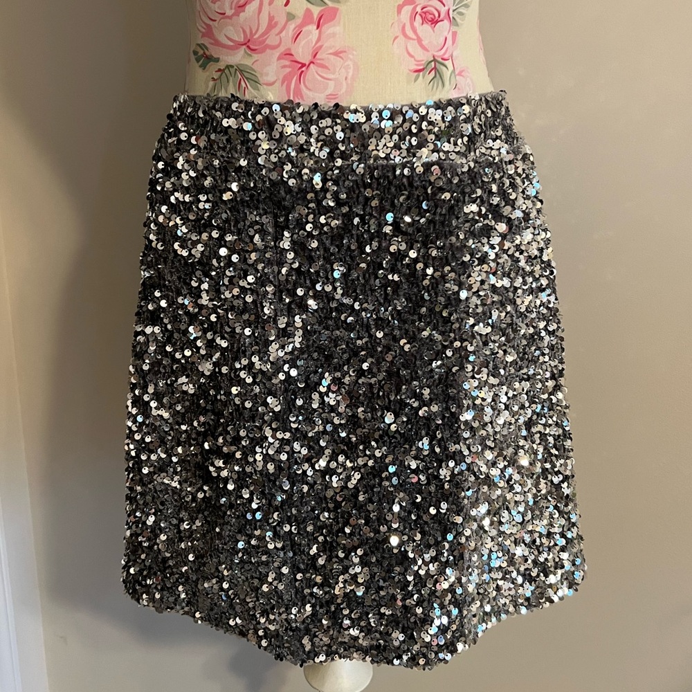 Silver Sequin Skirt